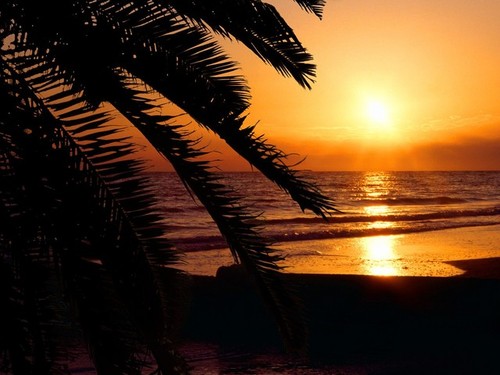Redington Beach, FL: Gulf of Mexico Sunset From The Beach