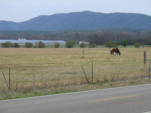 Piedmont, AL: East side of Piedmont Alabama : foothills of Appalachian Mountains