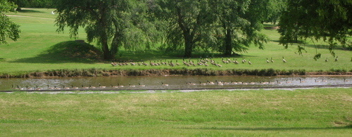 Enid, OK : Meadowlake Park photo, picture, image (Oklahoma) at city ...