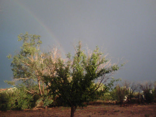 Picture Rocks, AZ: Monsoons