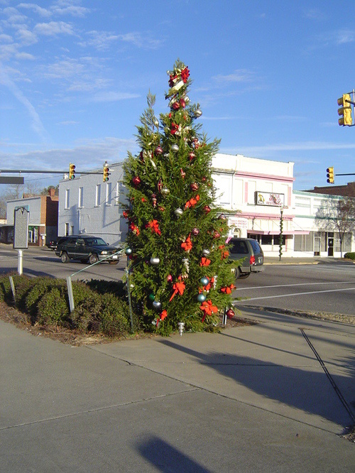 Johnston, SC: Christmas 2008