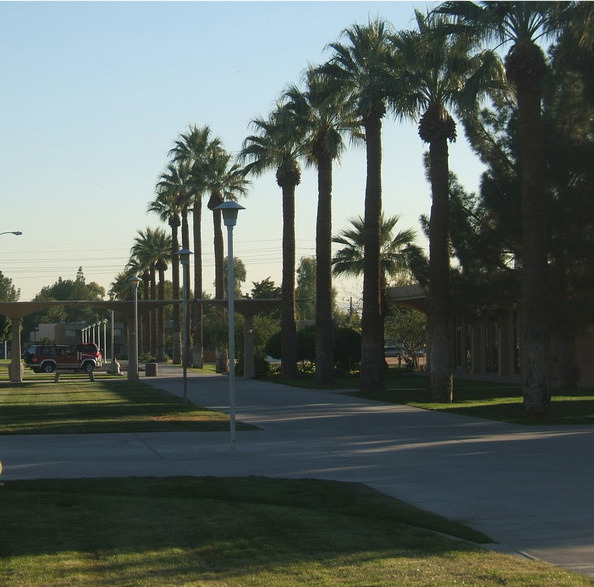 Glendale, AZ: Glendale Community college