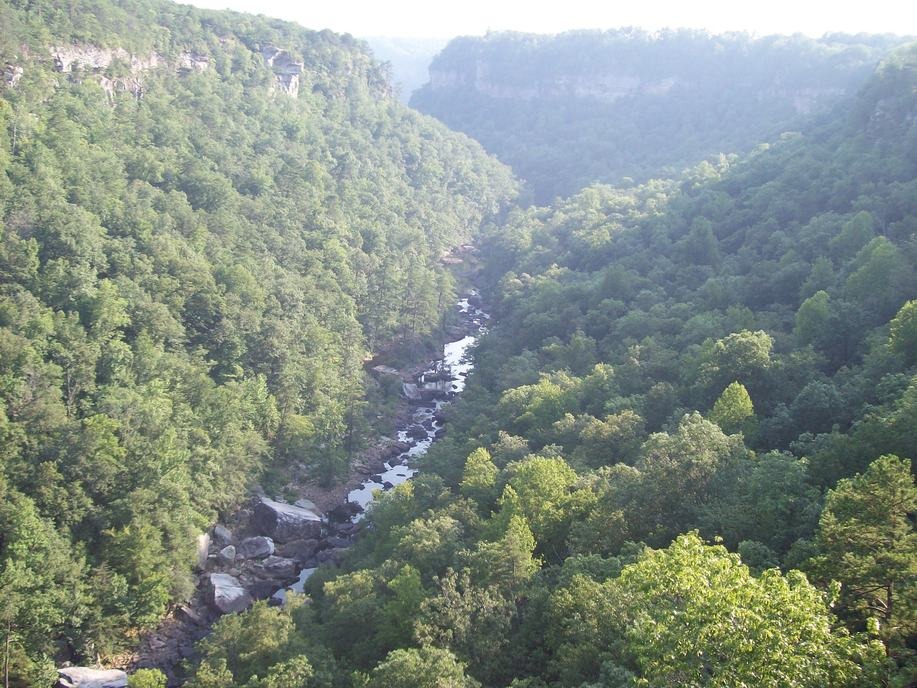 Fort Payne, AL: Picture of Wolf Creek Area