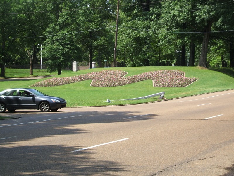 Memphis, TN "M" for Memphis East Parkway in Midtown photo, picture