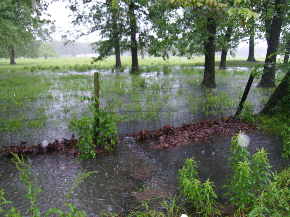 Hooks, TX: hooks refuses to improve drainage, "its not our responsibility" woman in city hall claims.