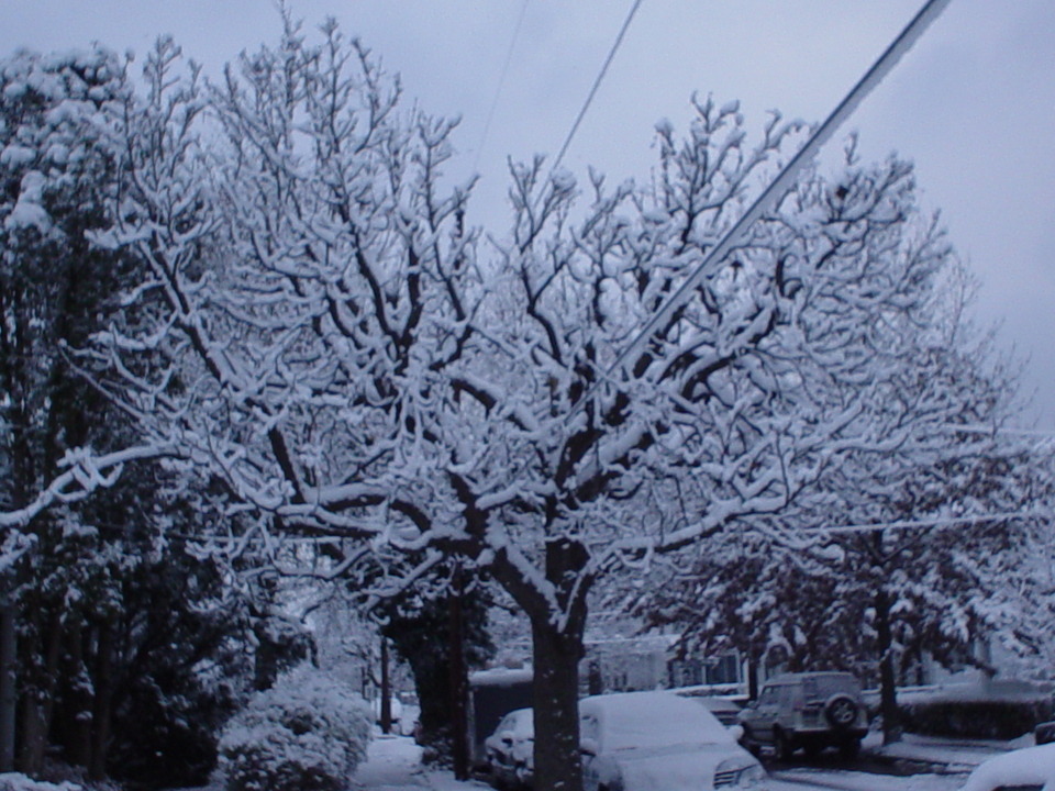 Lykens, PA: North 2nd St., Lykens, PA