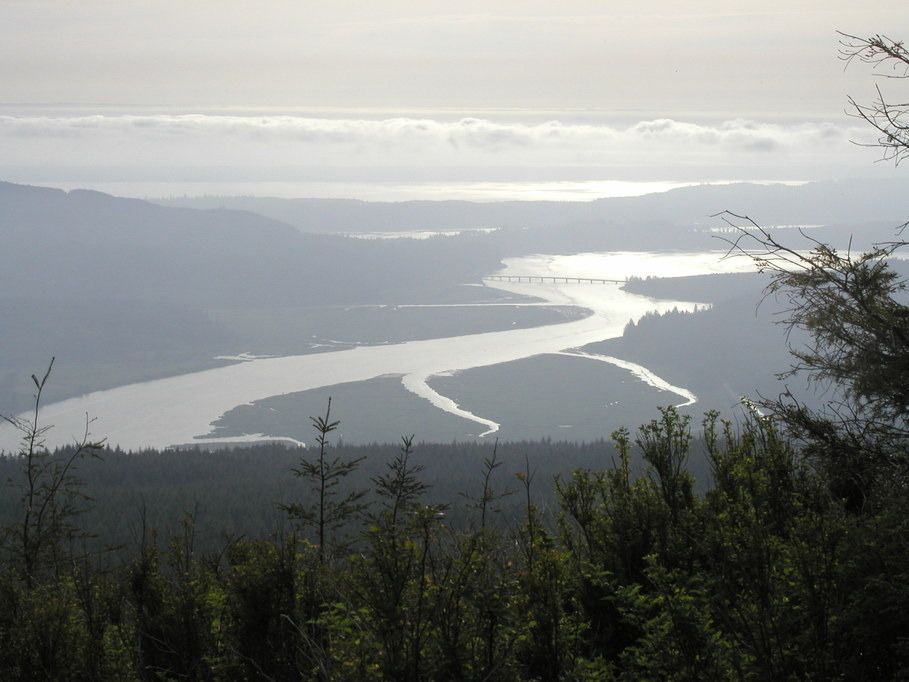 Naselle, WA: Naselle River emptying into Willipa Bay WA, Looking West from Radar Hill. Long Beach WA in the Background