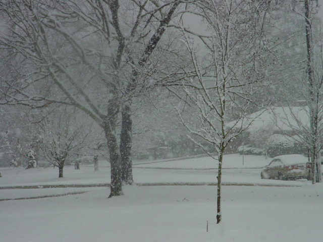 Columbus, GA: March 1st, 2009 snowfall