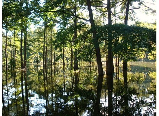 Lake Providence, LA: beauty