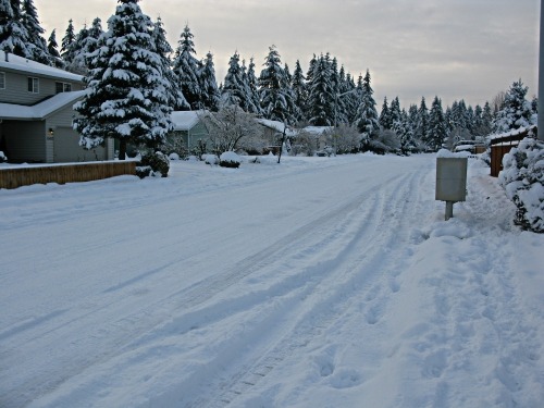 Vancouver, WA: Snowy Street Scene, December 2008