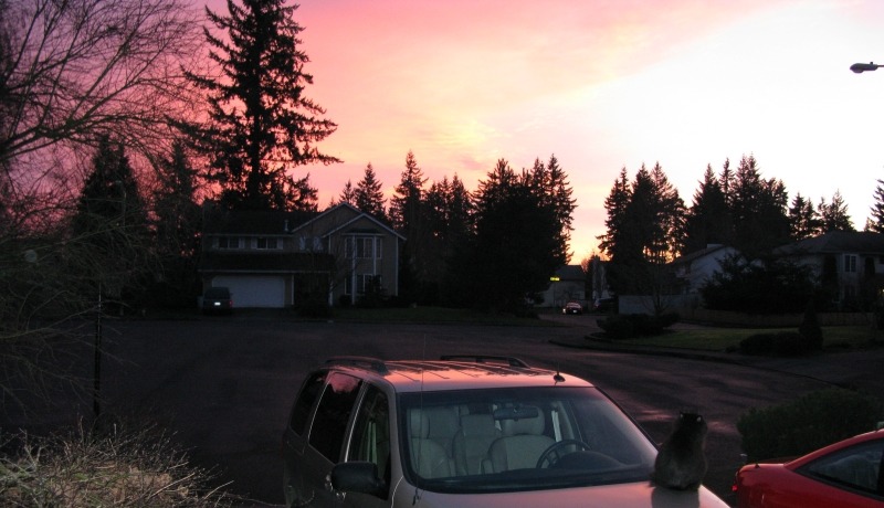 Vancouver, WA: Neat looking sunset, to bad I was at home instead of out in the country