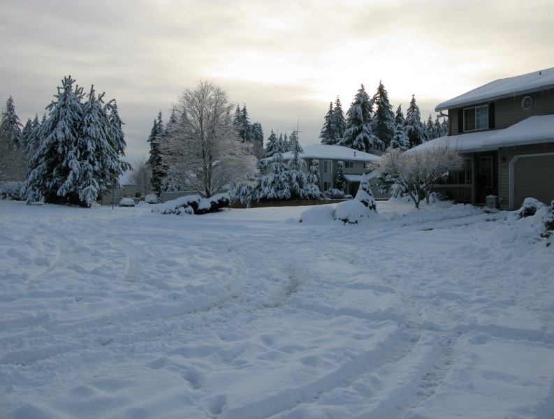 Vancouver, WA: Christmastime snow, 2008