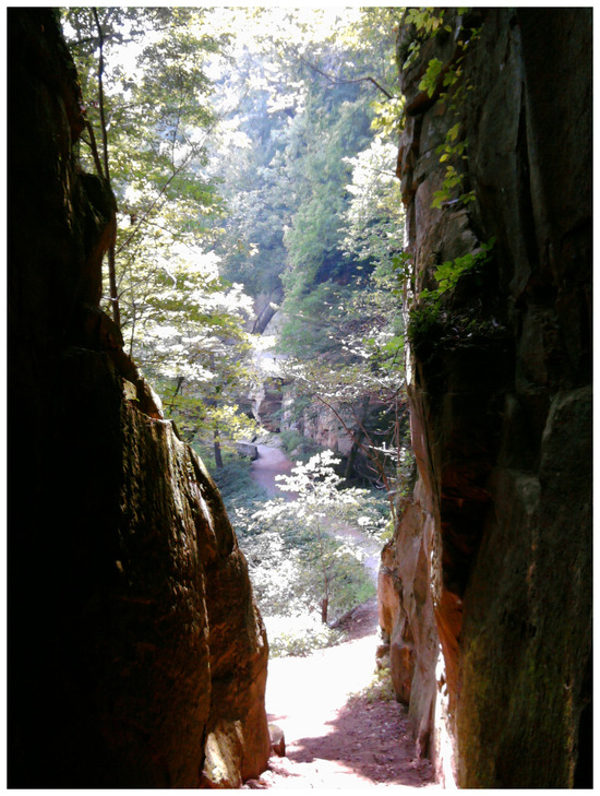 Muscatine, IA: Wildcat Den State Park