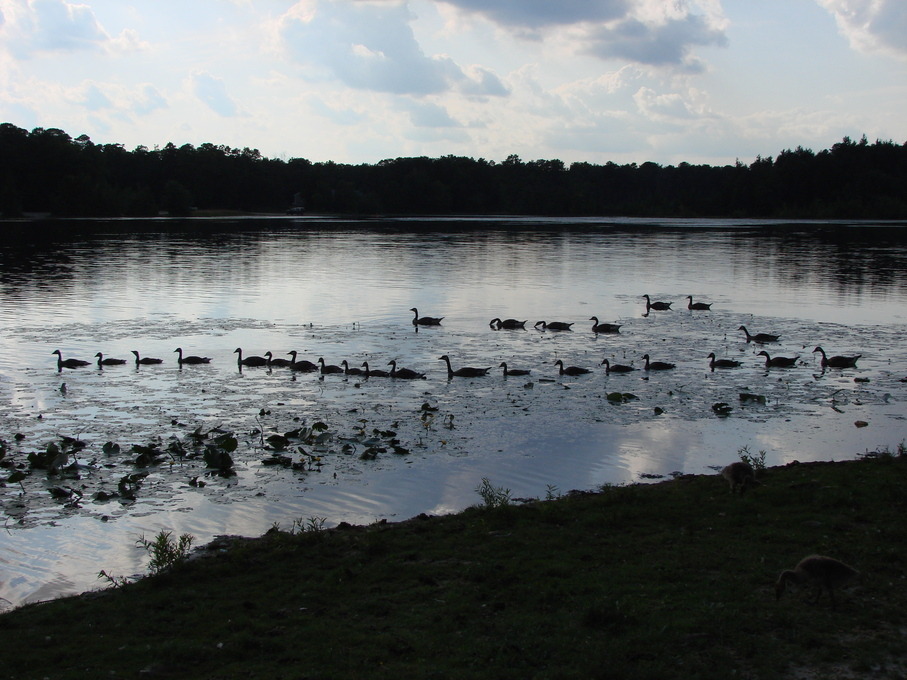 Vineland, NJ: Local Park 2009