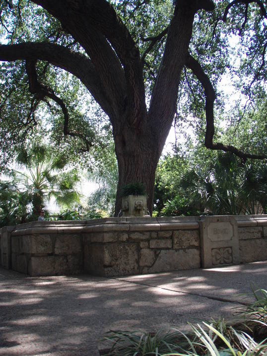 San Antonio, TX: Fountain at the Alamo
