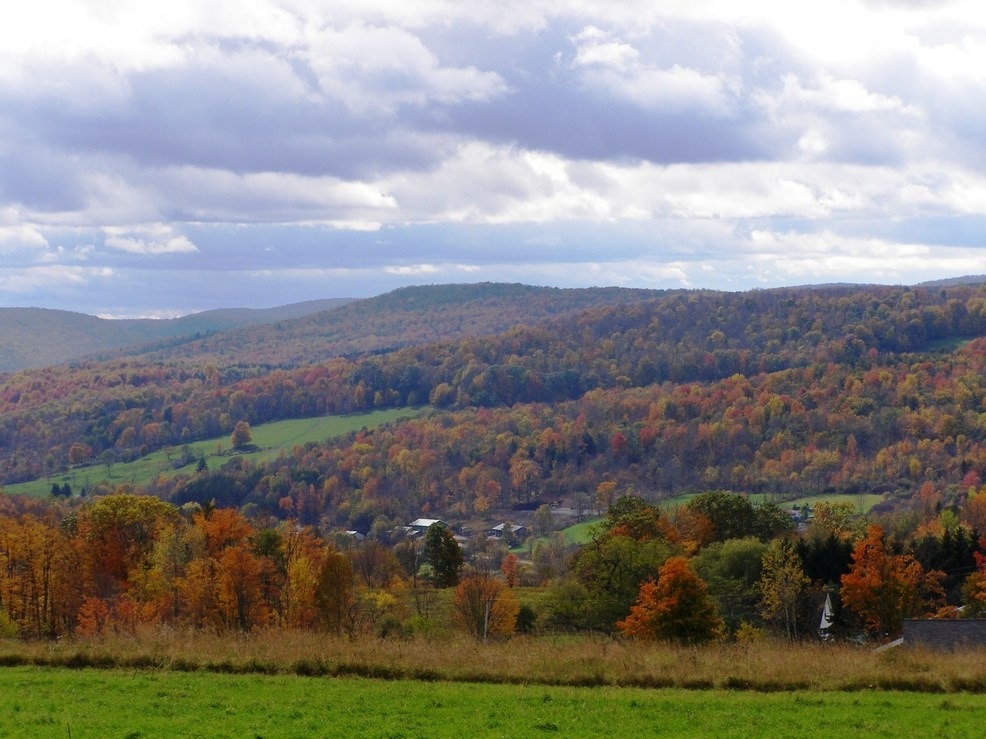 Walton, NY : Fall 2009 - Walton, NY photo, picture, image (New York) at ...