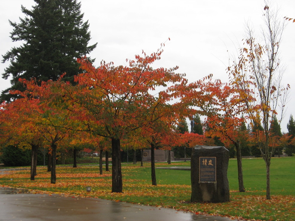 Wilsonville, OR: Fall at the Korean War Memorial