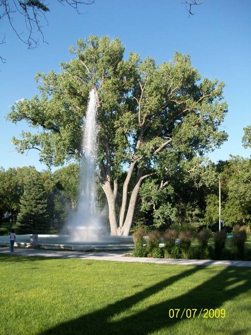 Alliance, NE: Old Cottonwood Tree and Fountain in Central Park