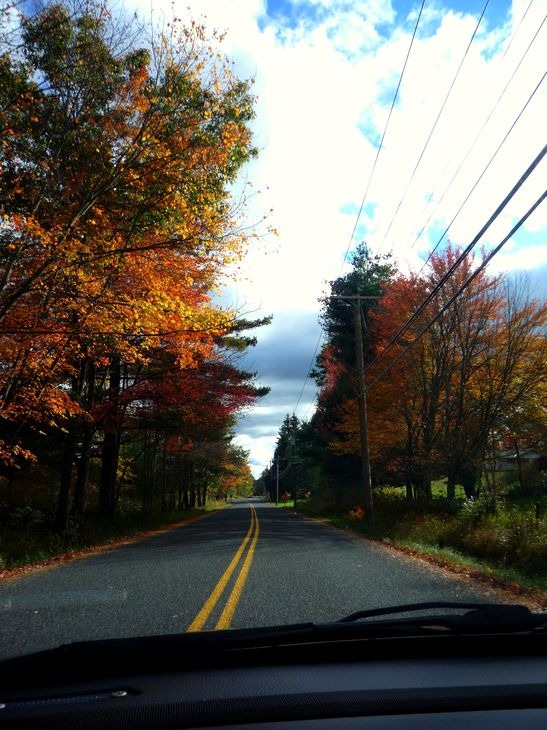 Ellington, CT: Driving along 83