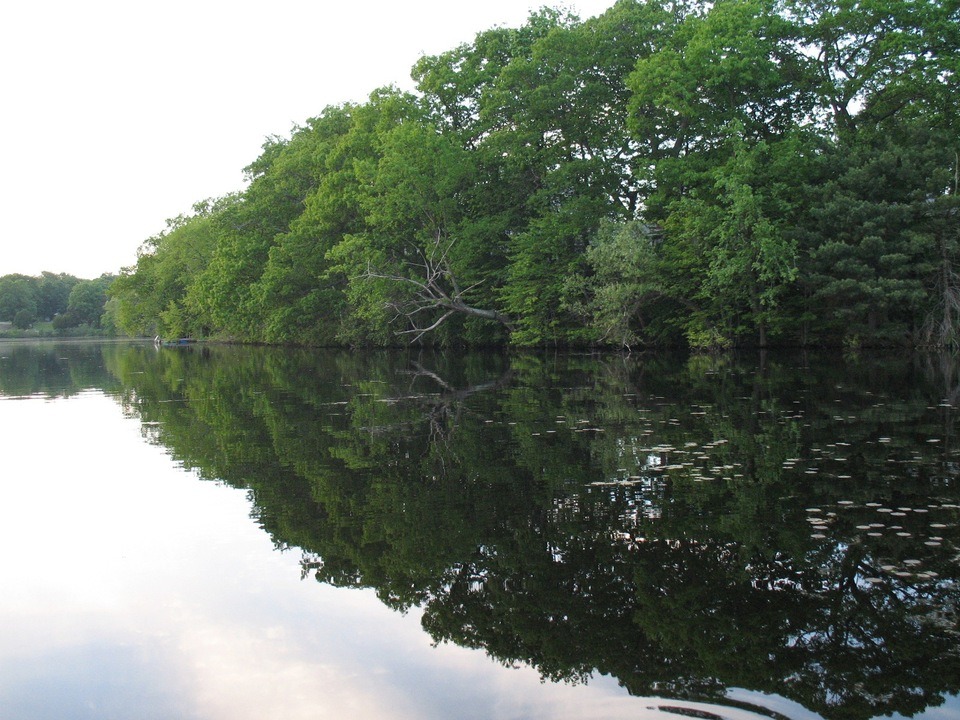 Waltham, MA: Charles River along Forest Grove Reservation