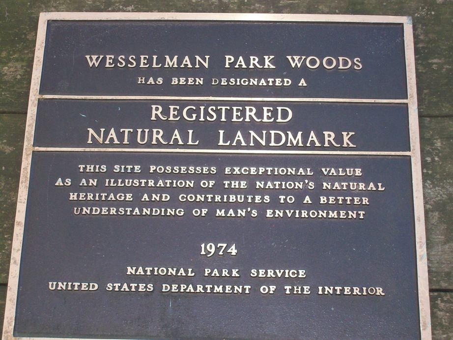 Evansville, IN: Nature Preserve Wesselmann Woods 2-Evansville