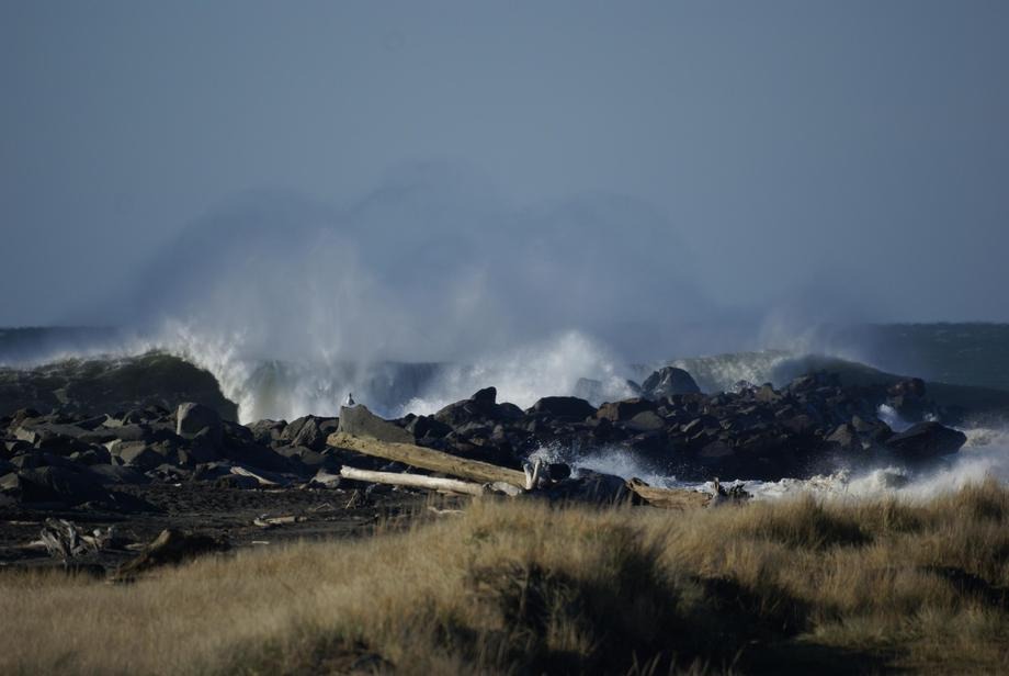 Ocean Shores, WA: Incoming wave at the North Jetty wall