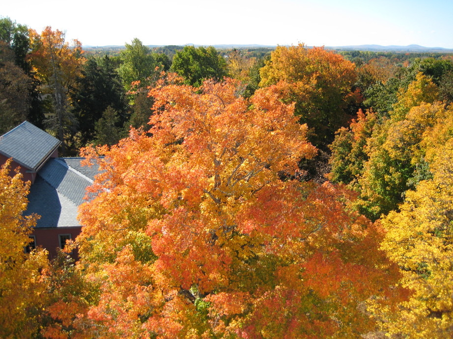 Bangor, ME: View of fall foliage from high atop Thomas Hill Standpipe