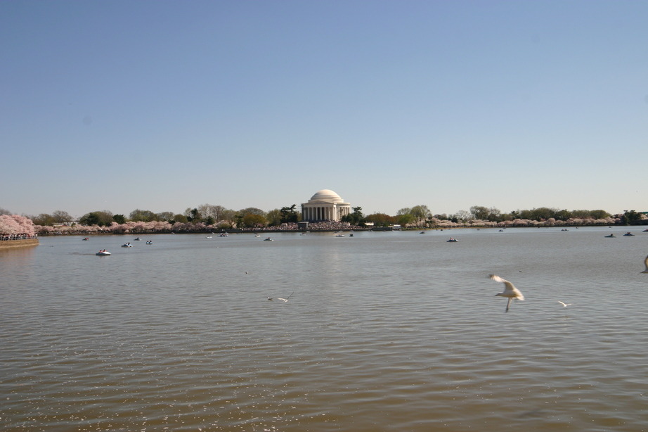 Washington, DC: Jefferson Memorial across Tidal Basin