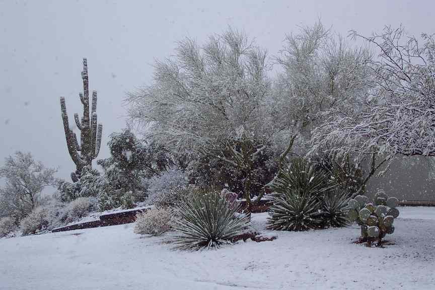 Carefree, AZ: Desert Snow