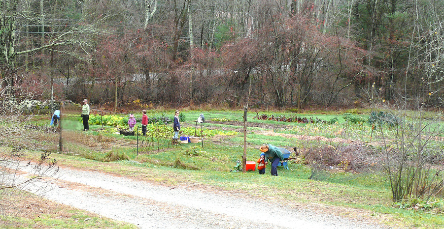 Voluntown, CT: VPT community garden work day 2009