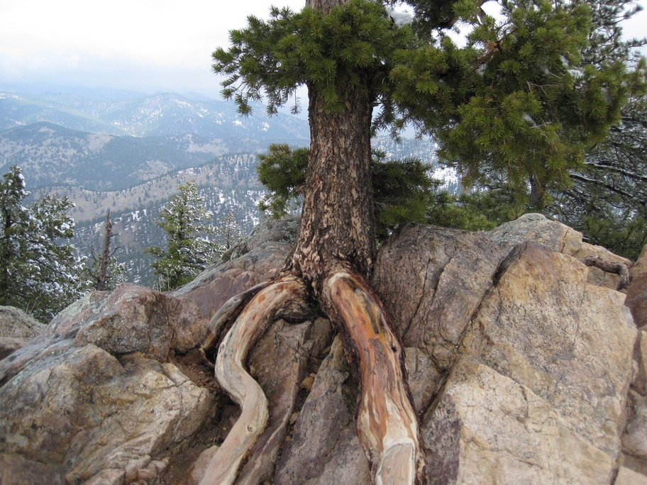 Boulder, CO: Flat Iron Mountain