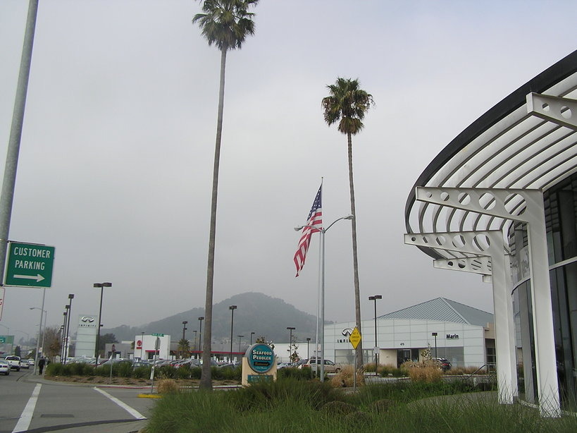 San Rafael, CA: Flag and Palms of San Rafael