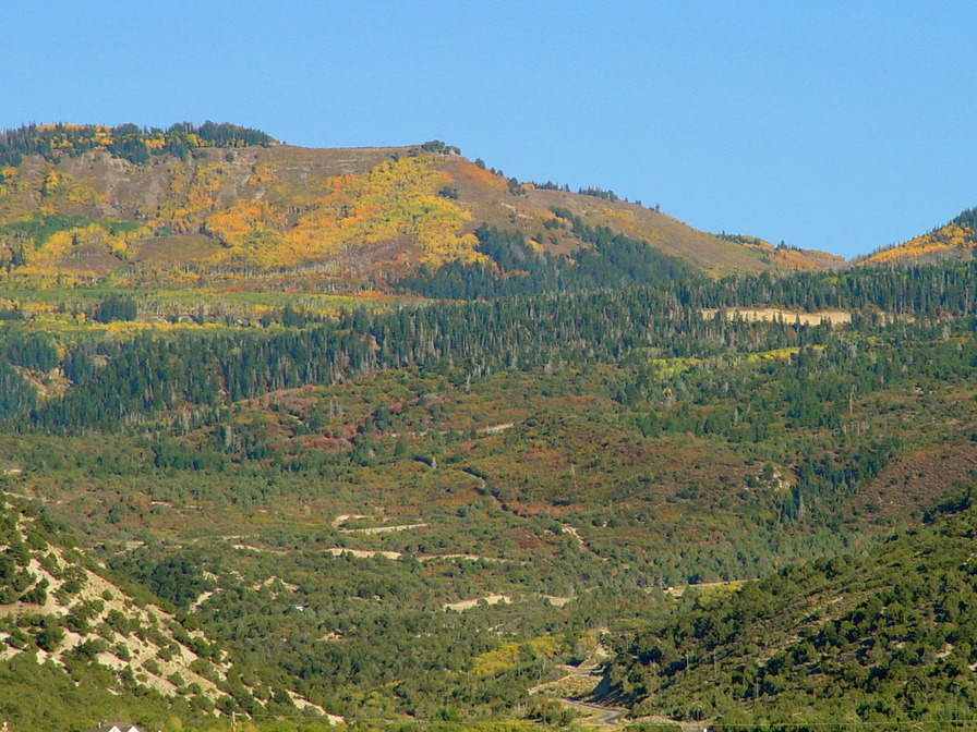 Ephraim, UT: Ephraim Canyon Sporting fall colors.