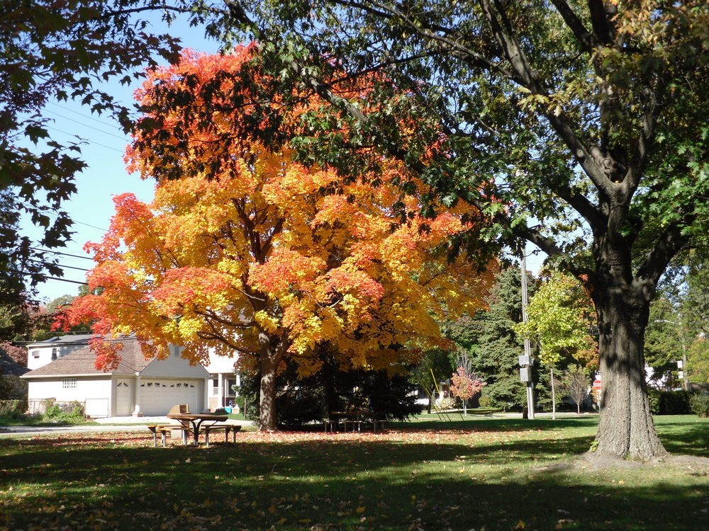 Huntington Woods, MI: Park at Vernon/Scotia