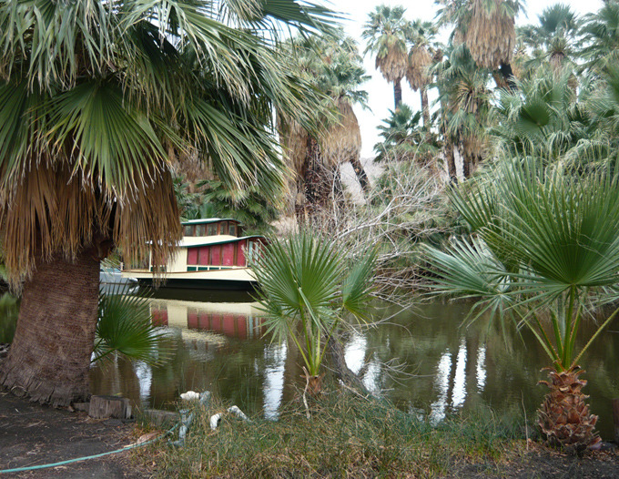 Twentynine Palms, CA: Oasis of Omara, Twentynine Palms, CA