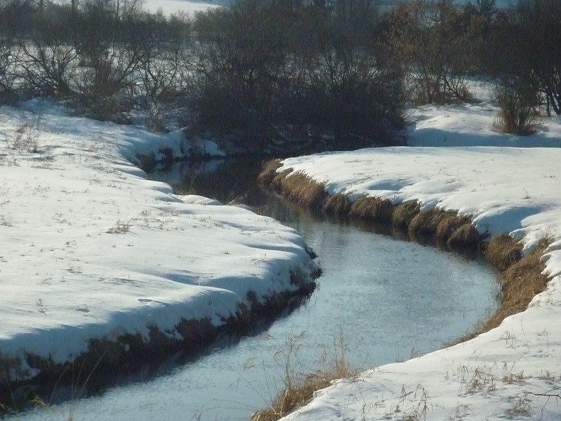 Cross Plains, WI: Blackearth creek Winter 2010