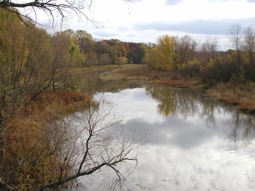 Wadsworth, IL: Des Plaines River at Wadsworth Rd