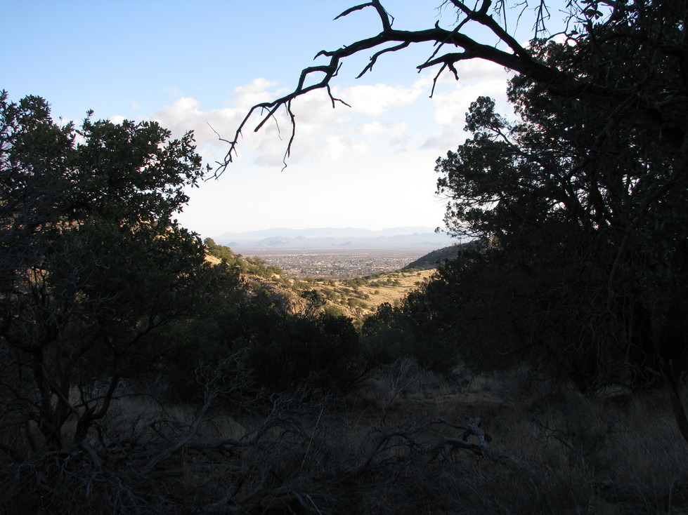 Sierra Vista Az View From Carr Canyon Perimeter Trail | Free Download ...