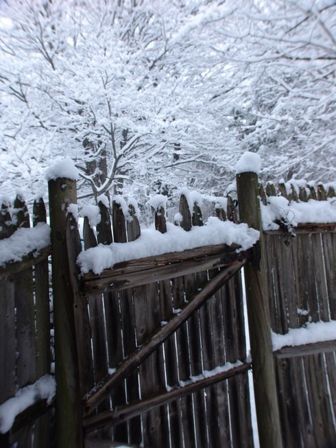 Hamden, CT: February 2010 Snowfall, view of backyard in Southern Hamden near Eli Whitney Technical School.