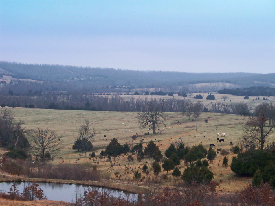 Stoutland, MO: Country side view from Route T