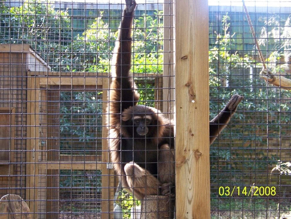 Monroe, LA: LA Purchase Zoo