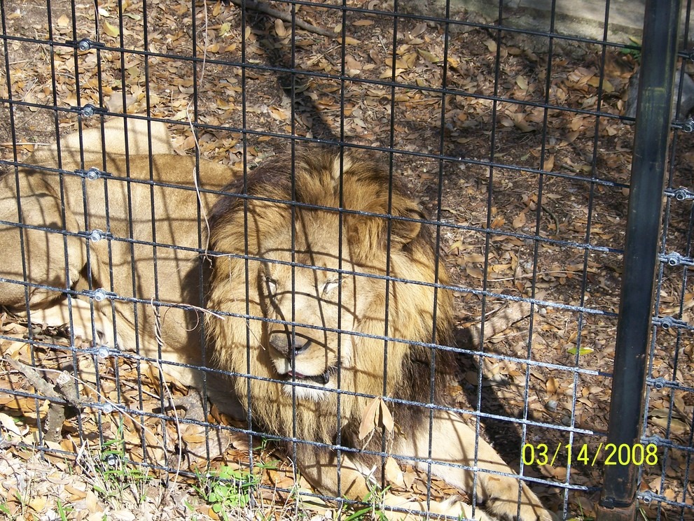 Monroe, LA: LA Purchase Zoo