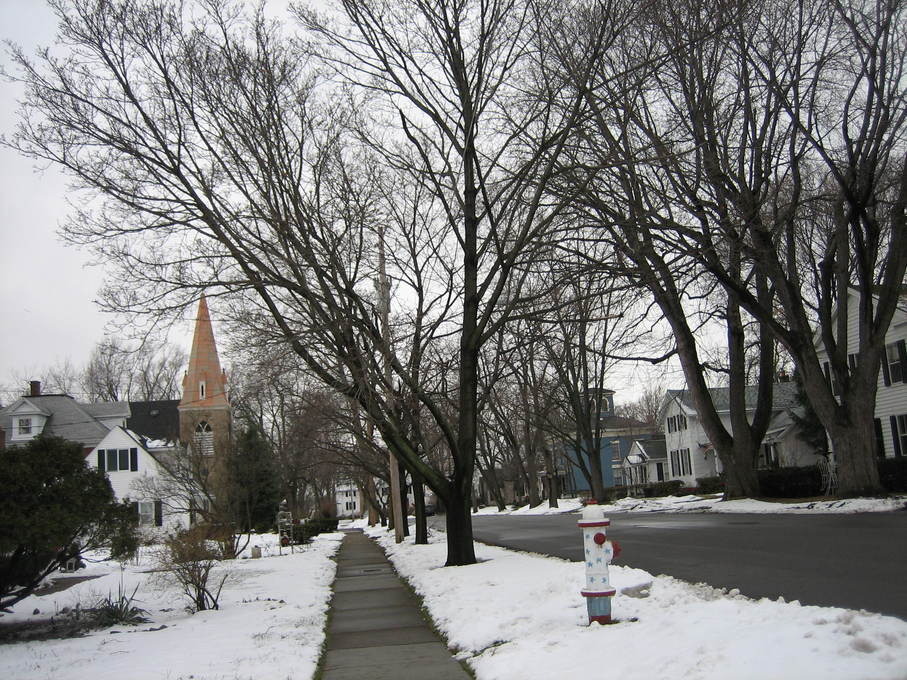 Lewiston, NY: Lewiston in winter 2008