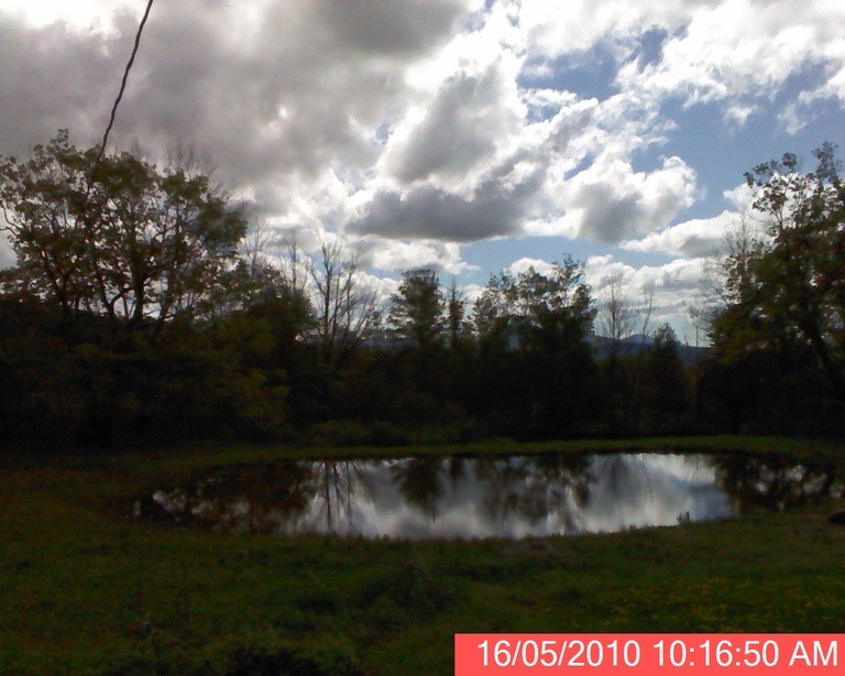 Jewett, NY: Pond in Jewett