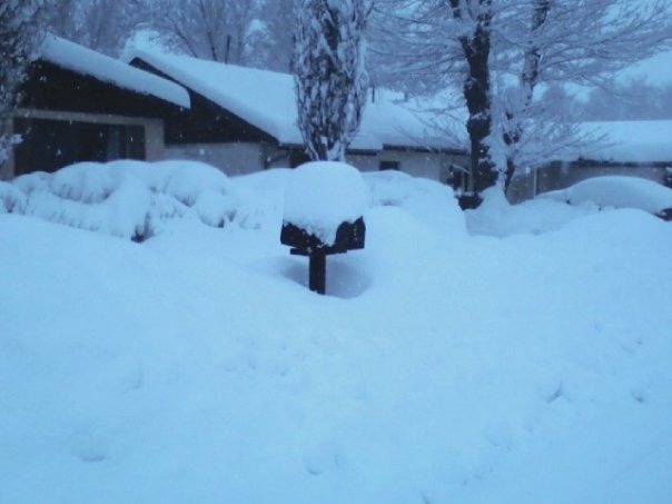 Flagstaff, AZ: picture of the front of our house