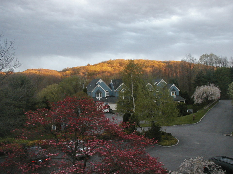 Golden, NY: Lowel Court in the Katonah Close complex. Is it spring or autumn