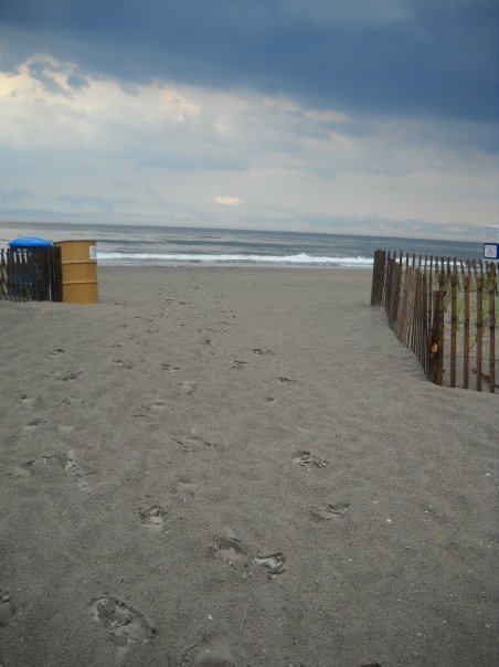 Ocean City, NJ: The Beach