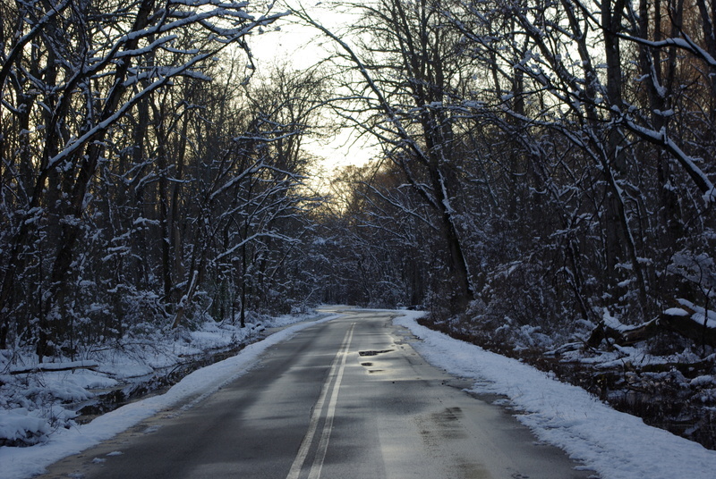 Shelby Forest, TN: winter in the park