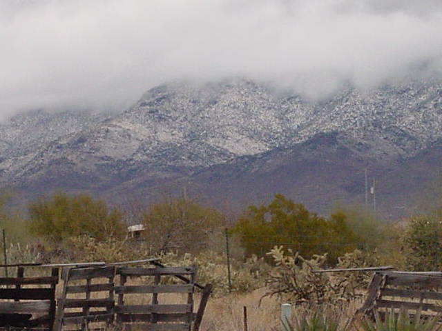 Congress, AZ: Looking toward Weaver Mts. from Feather Lane, Congress, AZ