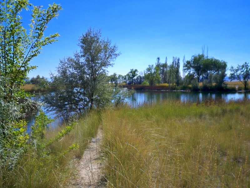 Mona, UT: Burston Pond